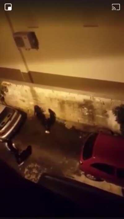 Nu va pisați lângă mașina mea