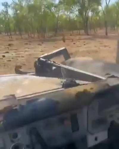 Vehicle mounted Water Buffalo capture device