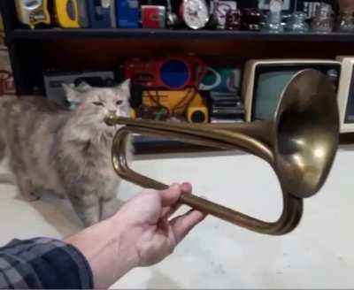 I saw this image and knew what had to be done