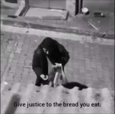 Turkish guy debates Marxism and Freud with a street pupper