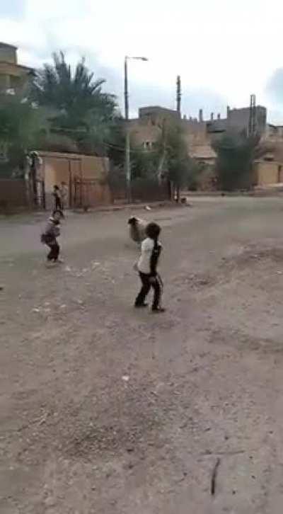 This sheep playing with the kids
