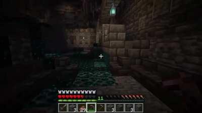 I fully hyped for the 1.19 !