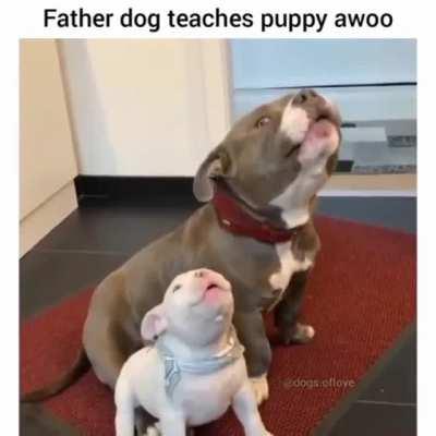 This adorable parenting moment