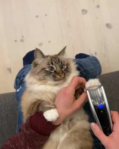 Because she kept slipping on the floor! 😂