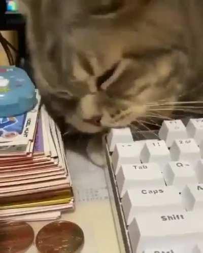 cromching on some keyboard