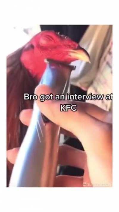 Guapos para la entrevista de trabajo