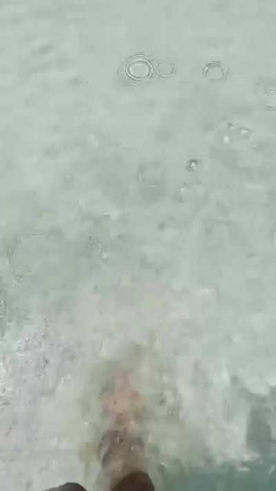 Walking in the water