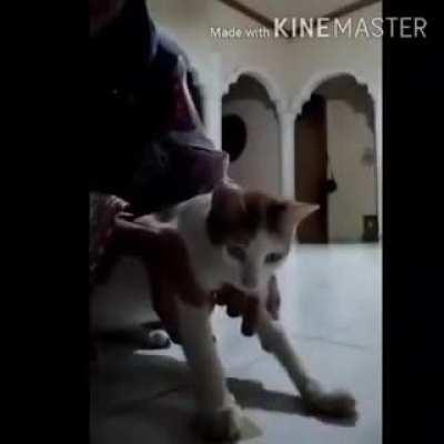 Habilidade desbloqueada: