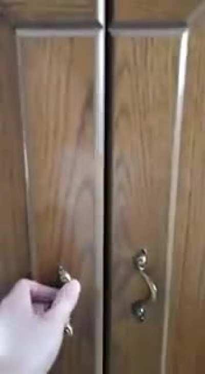 Baby Dweet getting caught in a locker, ca. 2020 (colourised)