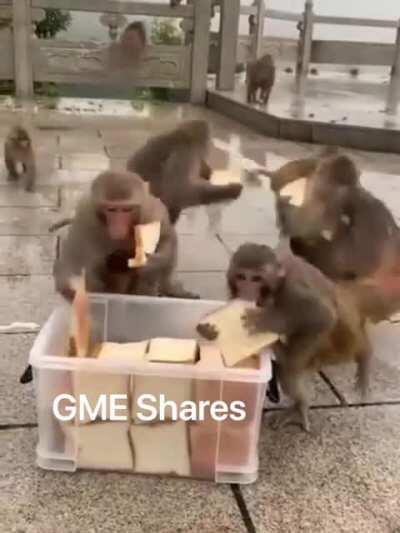 My M O N K E S loves this bread