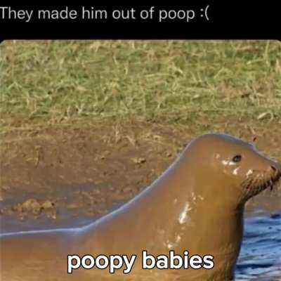 You disrespect me 💔🦭