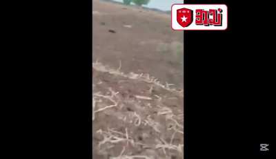 A platoon-sized Tatmadaw unit wiped out by resistance in Sagaing