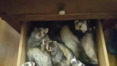 Always check the bottom drawer