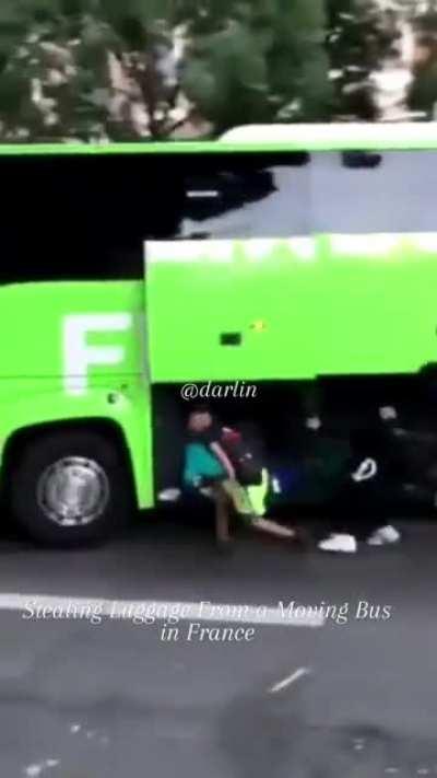 Group of people stealing luggage from a moving bus in France