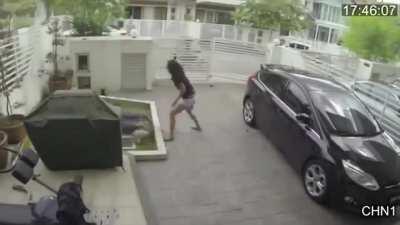 If she wasn't interrupted, she would do the superkick.