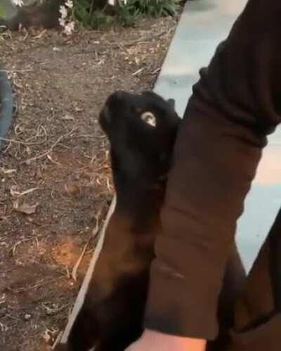 They're attempting to communicate now