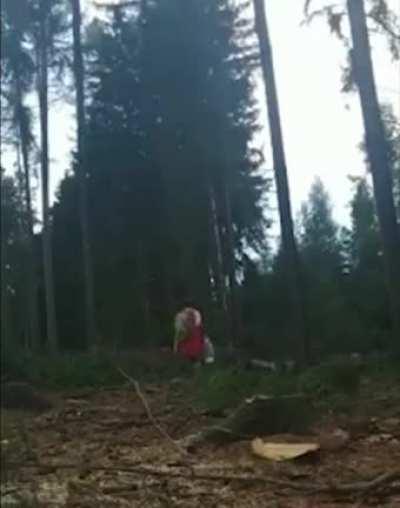 Tree Cutting Gone Wrong