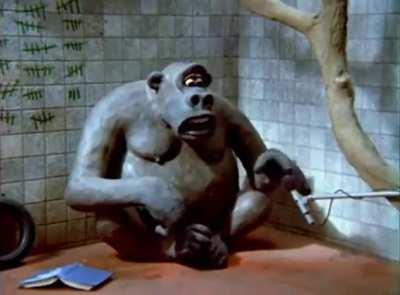 Adolescentes flertando em 2023: