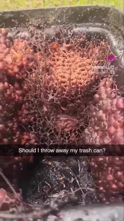 Nah I think its fine