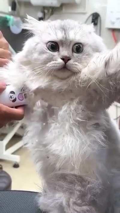 БЛЛЛЛЛЛЯЯЯААААААААА...............