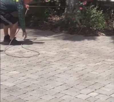 Taking his pet for a walk