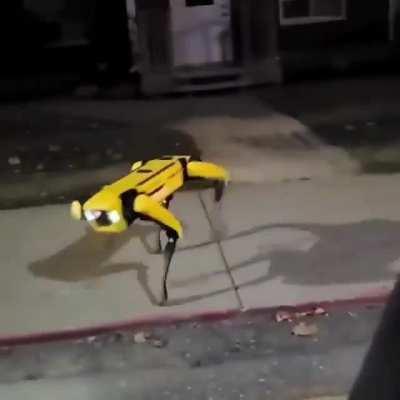 This Boston Dynamics robot, walking through a neighborhood at night...