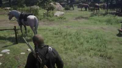 Dutch cusses me out for ignoring him.