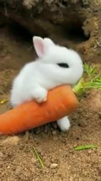 Living the best life