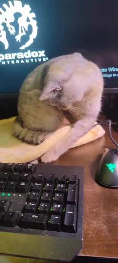 Why I can never find my USBs