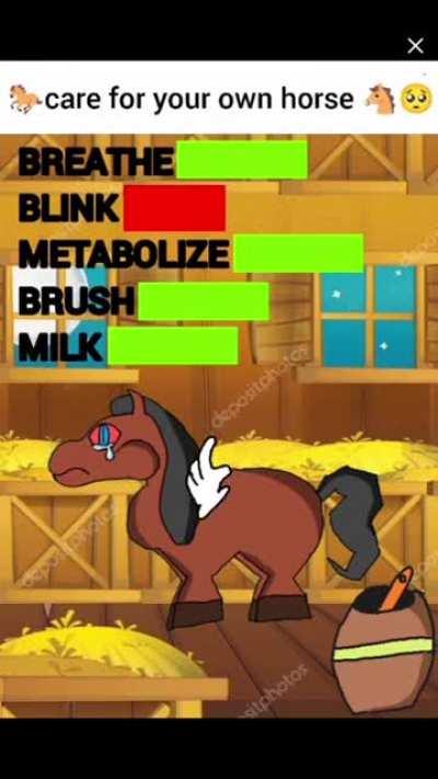 Car(ul)e for your own horse