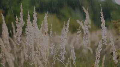 heyyy , enjoy some nice rain vibe with a soothing piano melody :)