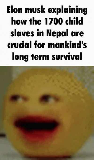 He's like us guys the like the chungus and is wholesome 9000!