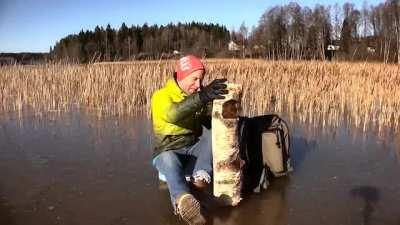 I can't get enough of watching his expression change.