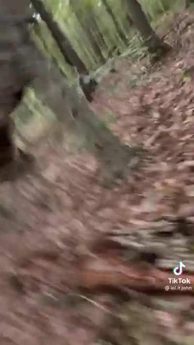 A glitch in the matrix