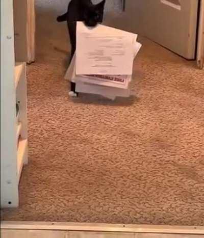 А ну за работу!