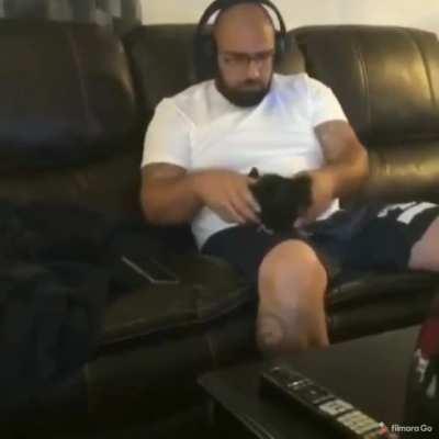 How to pick up chick