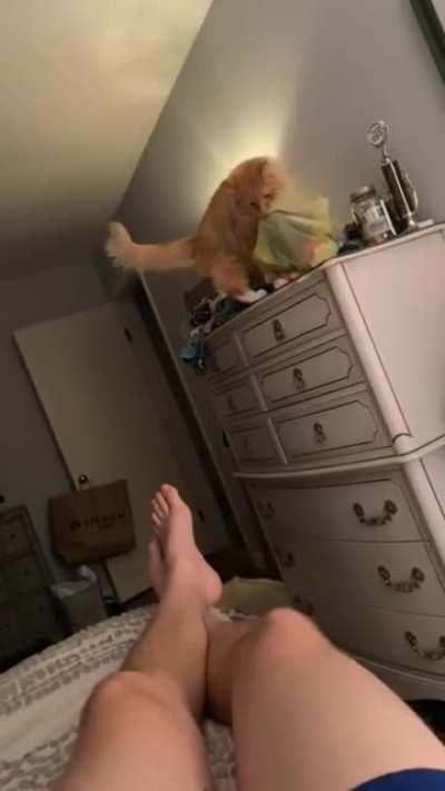 He’s constantly removing stuff from on top of the dresser