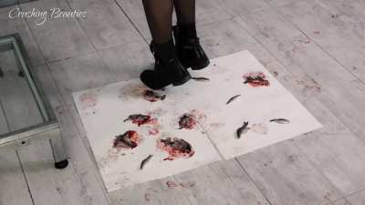 sofia_fish_crush35cam1