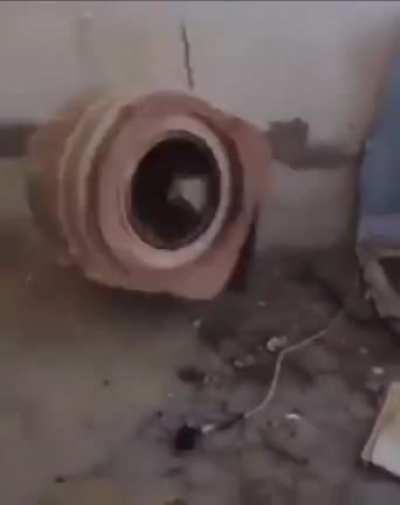 Cursed_washing machine