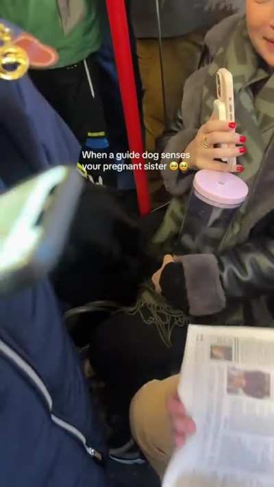 This is the sweetest thing I've seen today.