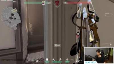 Icebox plant spot from Champions