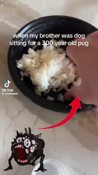 Isso não é um cachorro isso é uma anormalidade de força Aleph 😭🙏