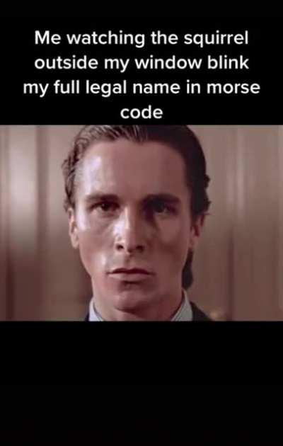 wow i thought it was birds