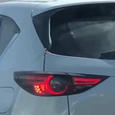 Step 1 - Exit Car Immediately, Step 2 - Never Return