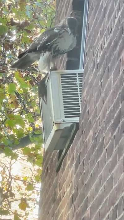 Don’t see that often in the city