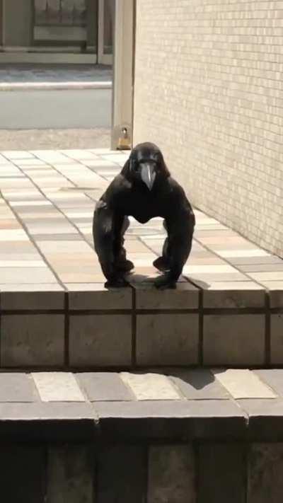 Government drone missing its secondary battery pack