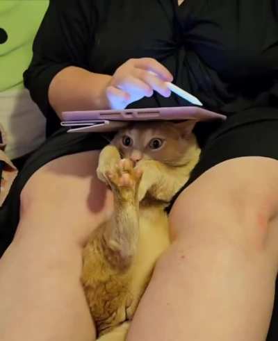 I'm a table, just a table