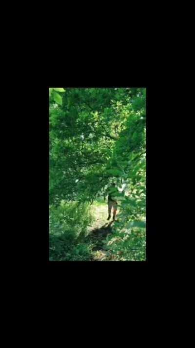 British forced tourism