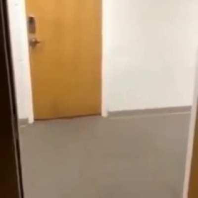 My team when they see a skeleton master