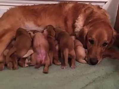 There's always that one guy...